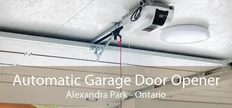 Automatic Garage Door Opener Alexandra Park - Ontario
