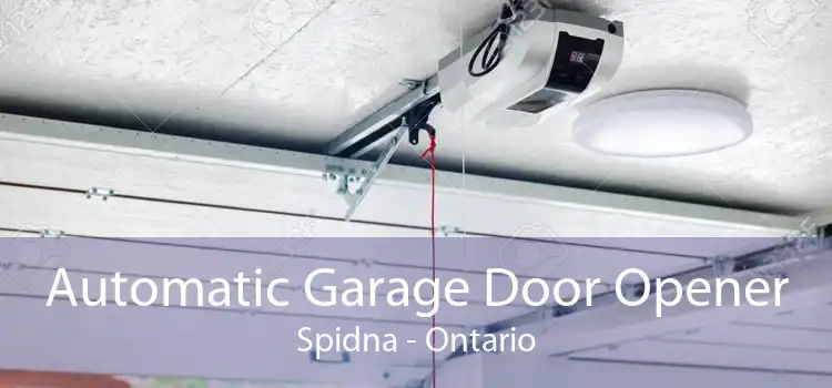 Automatic Garage Door Opener Spidna - Ontario