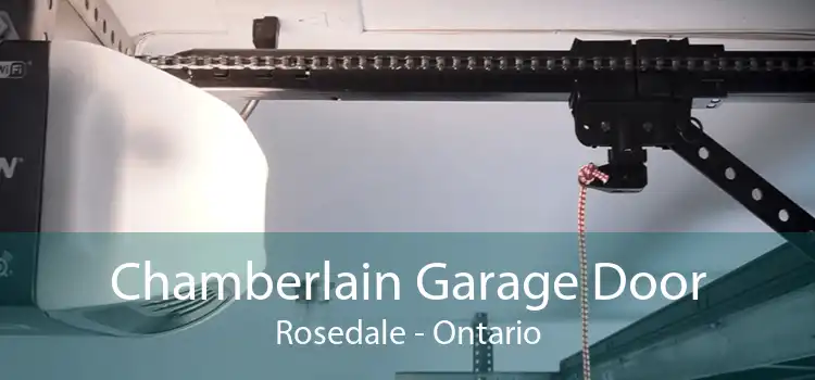 Chamberlain Garage Door Rosedale - Ontario