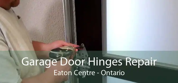 Garage Door Hinges Repair Eaton Centre - Ontario