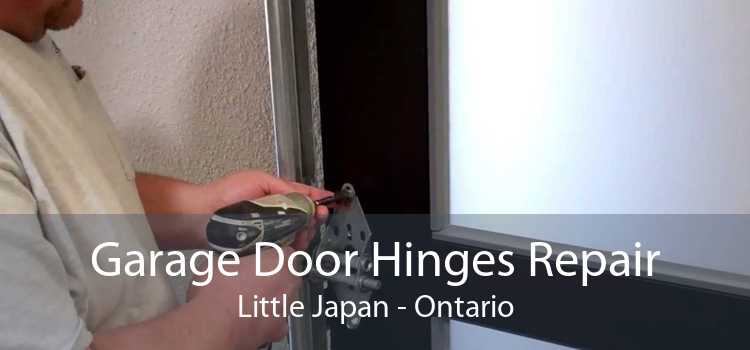Garage Door Hinges Repair Little Japan - Ontario