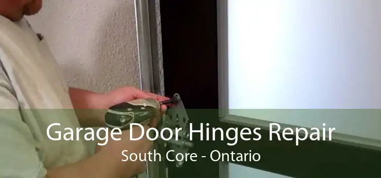 Garage Door Hinges Repair South Core - Ontario