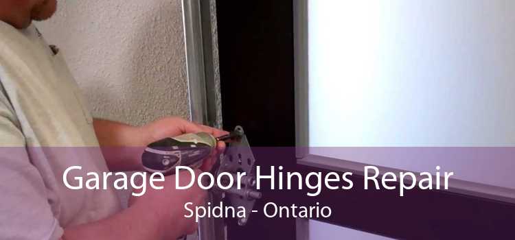 Garage Door Hinges Repair Spidna - Ontario