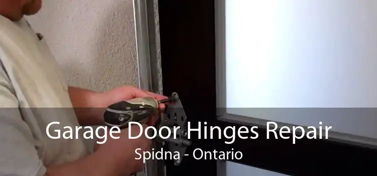 Garage Door Hinges Repair Spidna - Ontario
