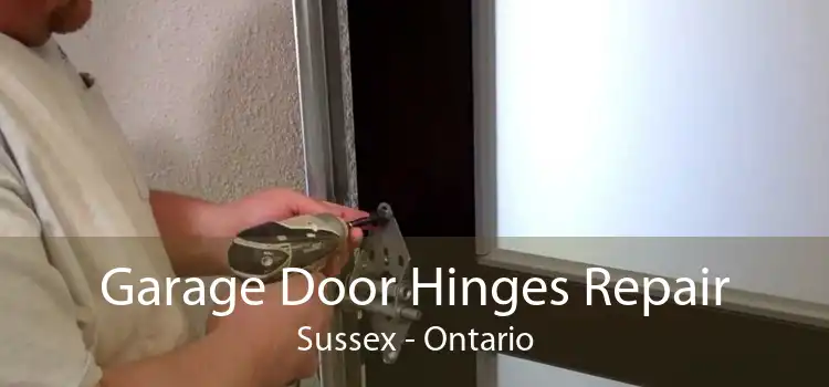 Garage Door Hinges Repair Sussex - Ontario