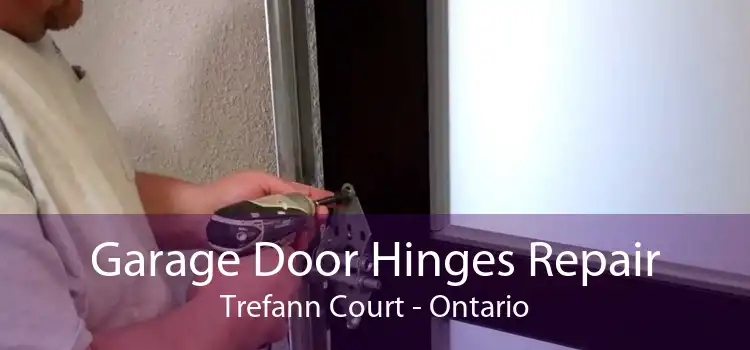 Garage Door Hinges Repair Trefann Court - Ontario