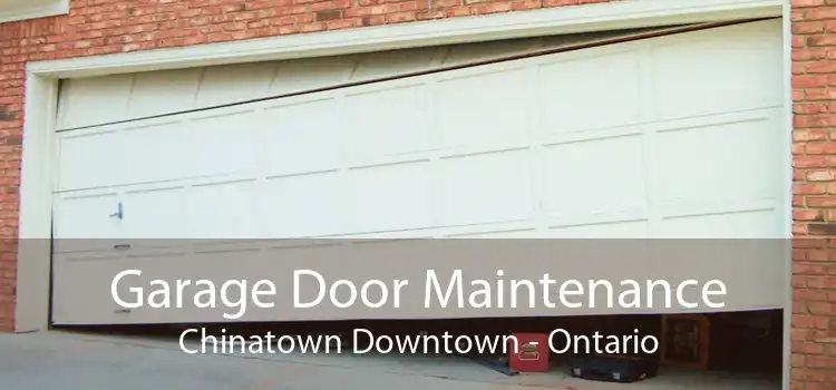Garage Door Maintenance Chinatown Downtown - Ontario