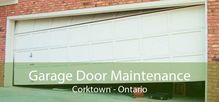 Garage Door Maintenance Corktown - Ontario