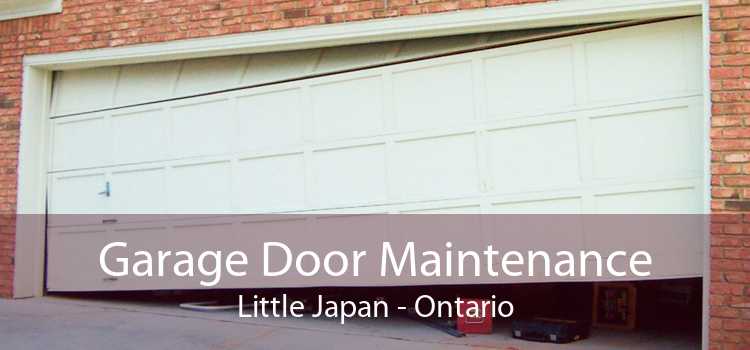 Garage Door Maintenance Little Japan - Ontario