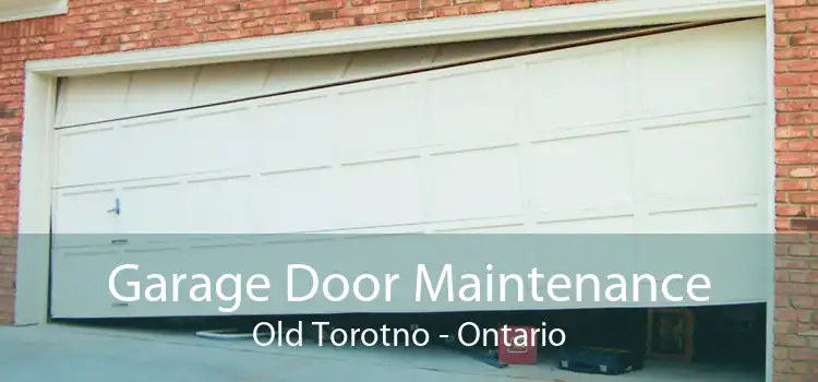 Garage Door Maintenance Old Torotno - Ontario