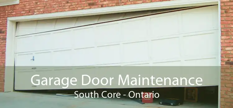 Garage Door Maintenance South Core - Ontario