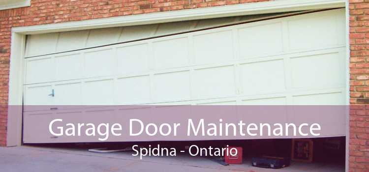 Garage Door Maintenance Spidna - Ontario