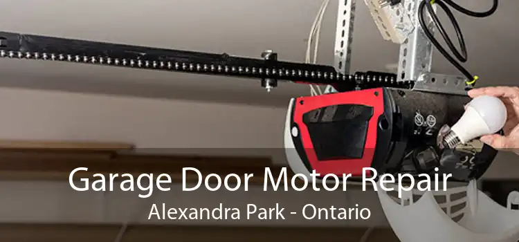 Garage Door Motor Repair Alexandra Park - Ontario