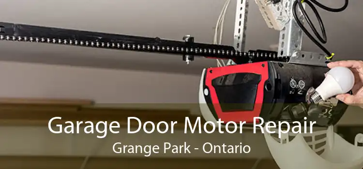 Garage Door Motor Repair Grange Park - Ontario
