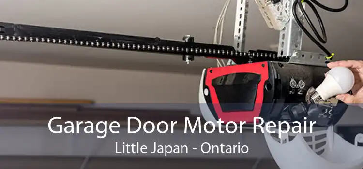 Garage Door Motor Repair Little Japan - Ontario