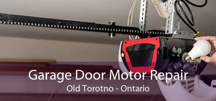 Garage Door Motor Repair Old Torotno - Ontario