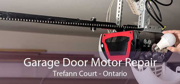 Garage Door Motor Repair Trefann Court - Ontario