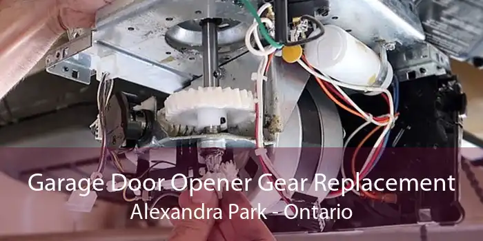 Garage Door Opener Gear Replacement Alexandra Park - Ontario