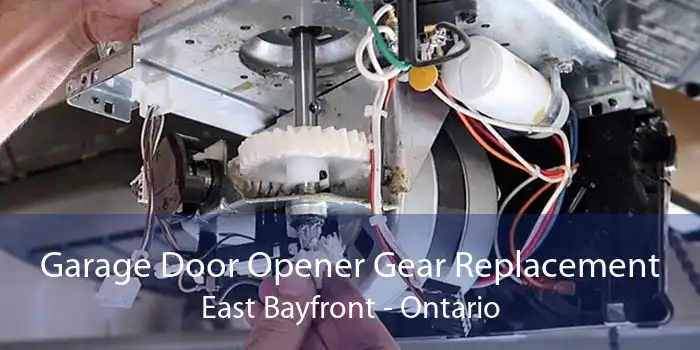 Garage Door Opener Gear Replacement East Bayfront - Ontario