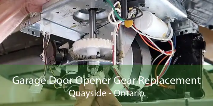 Garage Door Opener Gear Replacement Quayside - Ontario