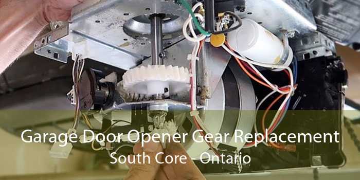 Garage Door Opener Gear Replacement South Core - Ontario