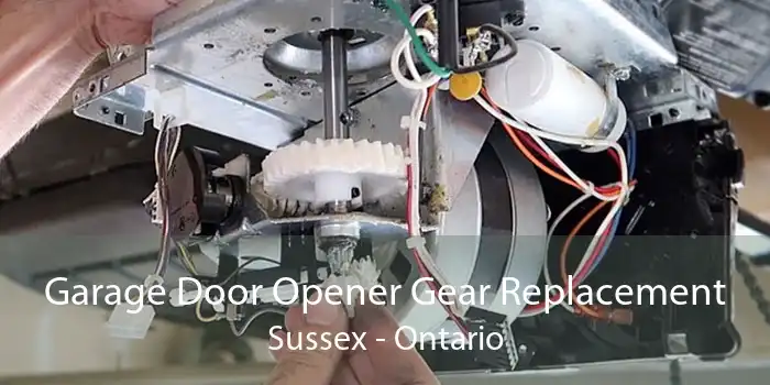 Garage Door Opener Gear Replacement Sussex - Ontario
