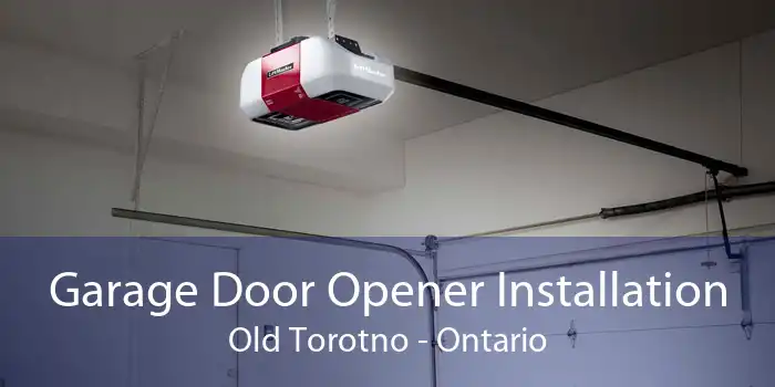 Garage Door Opener Installation Old Torotno - Ontario