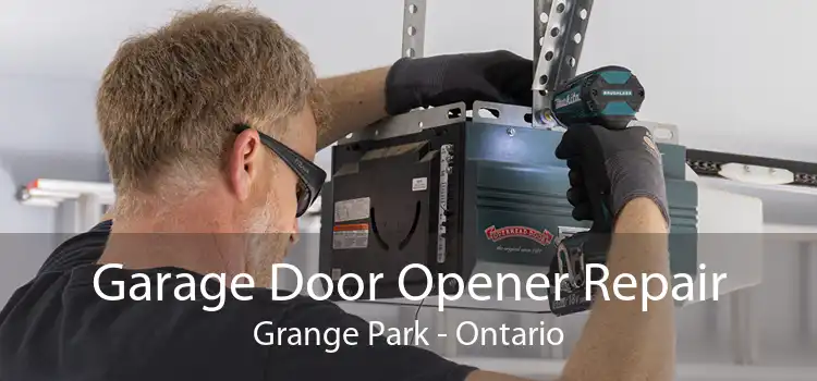 Garage Door Opener Repair Grange Park - Ontario