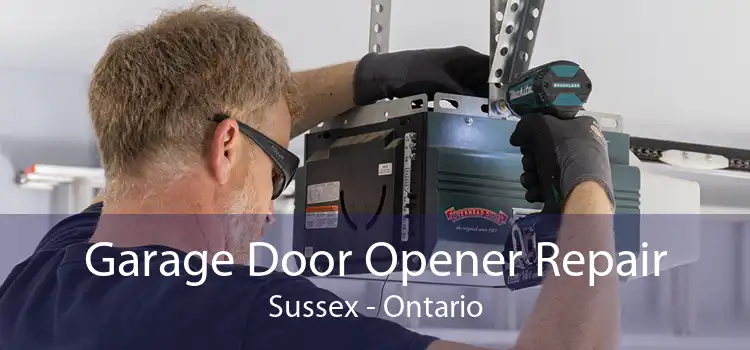 Garage Door Opener Repair Sussex - Ontario
