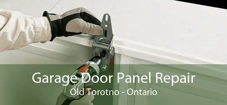 Garage Door Panel Repair Old Torotno - Ontario