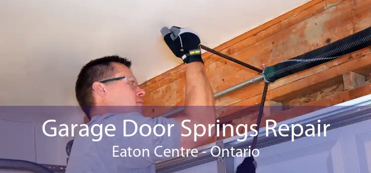 Garage Door Springs Repair Eaton Centre - Ontario