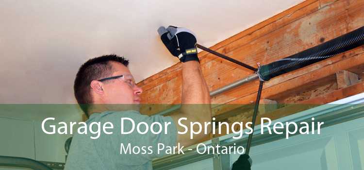 Garage Door Springs Repair Moss Park - Ontario