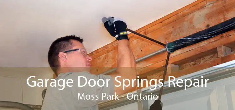 Garage Door Springs Repair Moss Park - Ontario
