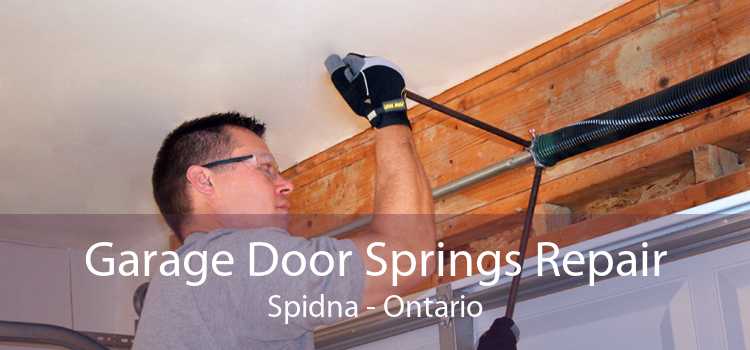 Garage Door Springs Repair Spidna - Ontario