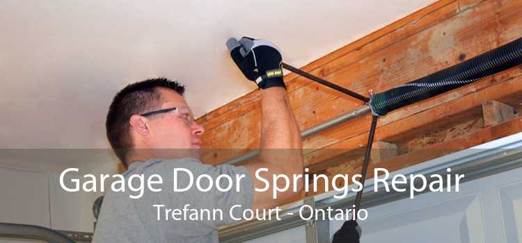 Garage Door Springs Repair Trefann Court - Ontario