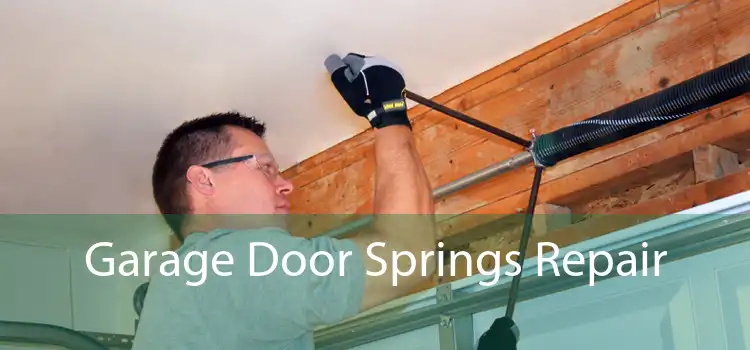 Garage Door Springs Repair 