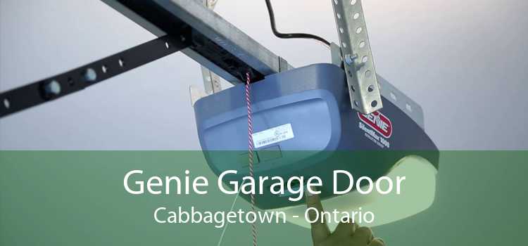 Genie Garage Door Cabbagetown - Ontario