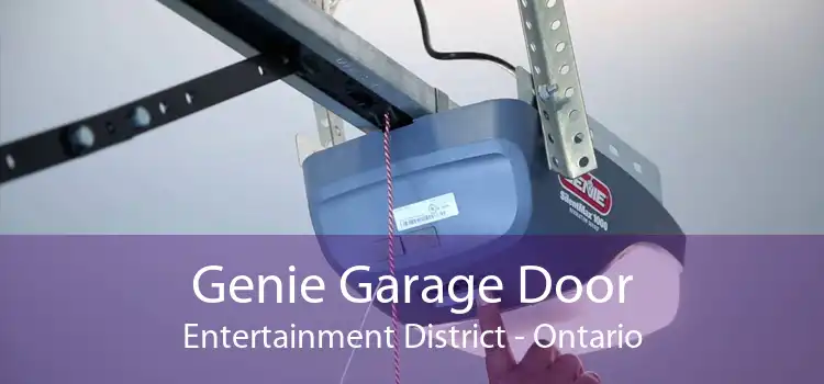 Genie Garage Door Entertainment District - Ontario