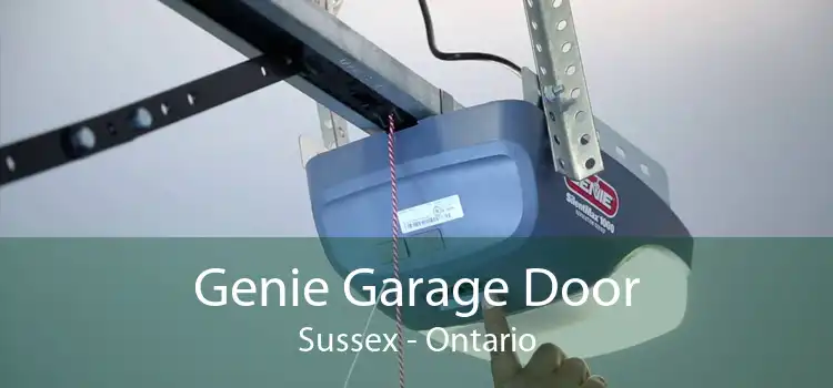 Genie Garage Door Sussex - Ontario