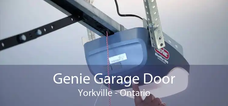 Genie Garage Door Yorkville - Ontario