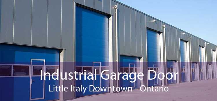 Industrial Garage Door Little Italy Downtown - Ontario