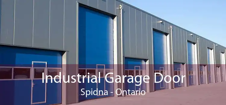 Industrial Garage Door Spidna - Ontario