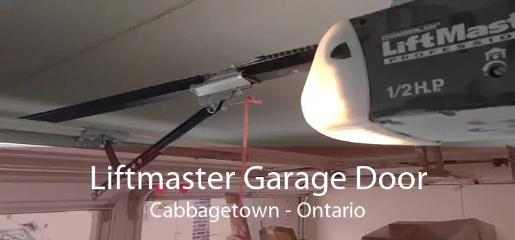 Liftmaster Garage Door Cabbagetown - Ontario