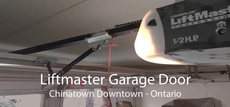 Liftmaster Garage Door Chinatown Downtown - Ontario