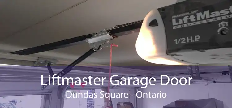 Liftmaster Garage Door Dundas Square - Ontario