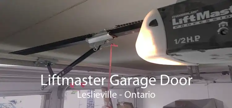 Liftmaster Garage Door Leslieville - Ontario