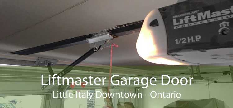 Liftmaster Garage Door Little Italy Downtown - Ontario