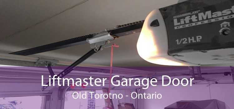 Liftmaster Garage Door Old Torotno - Ontario