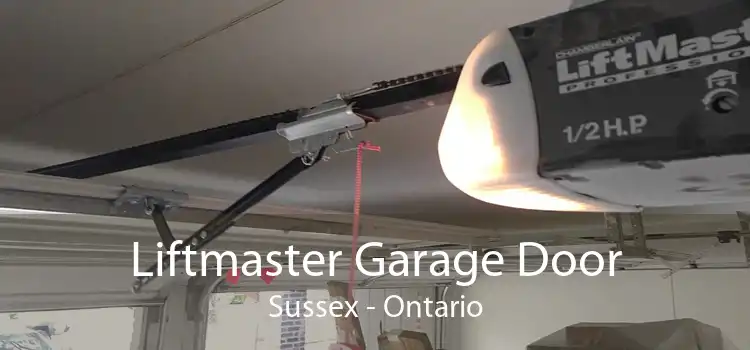 Liftmaster Garage Door Sussex - Ontario