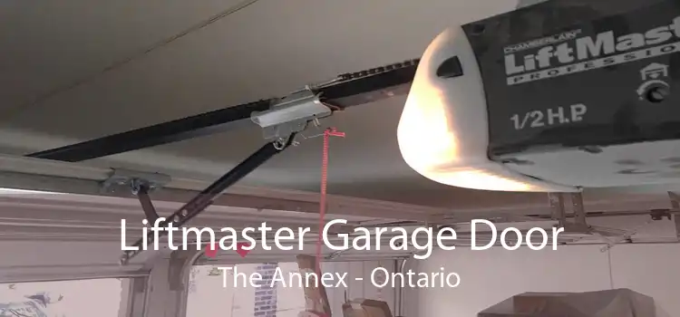 Liftmaster Garage Door The Annex - Ontario